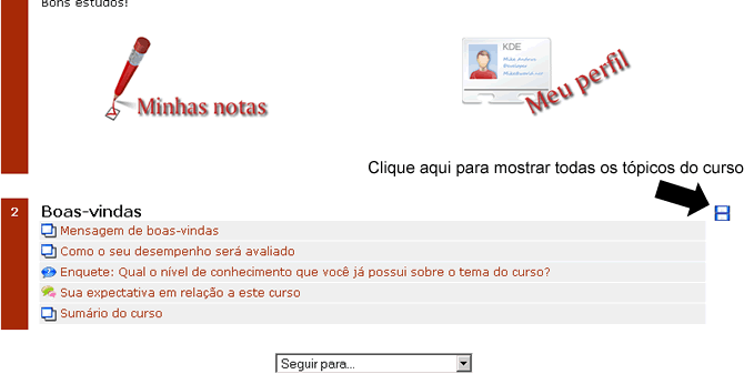 Clique na caixinha para ver todos os tópicos do curso