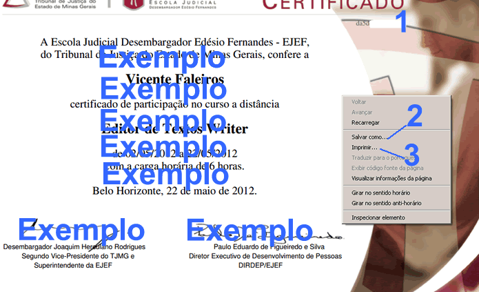 Imprima ou salve seu certificado virtual